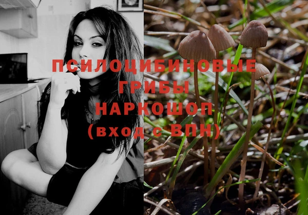 мяу мяу мука Богородицк