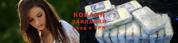 бошки Богданович