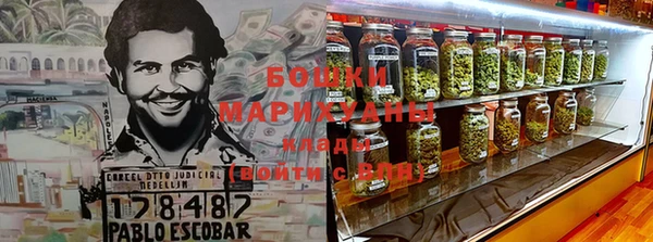 бошки Богданович