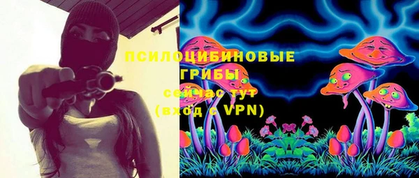 бошки Богданович